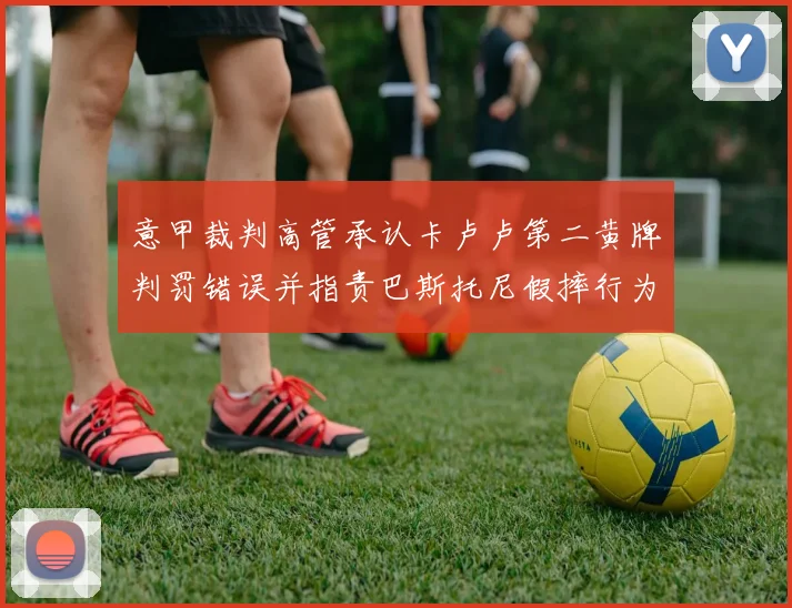 意甲裁判高管承认卡卢卢第二黄牌判罚错误并指责巴斯托尼假摔行为