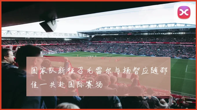 国家队新征召毛雷尔与杨智应随邵佳一共赴国际赛场